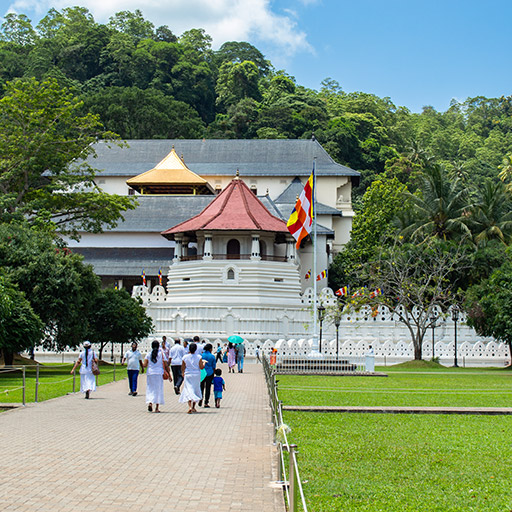 <span> Day 8 </span> Kandy City - Temple of Tooth Relic