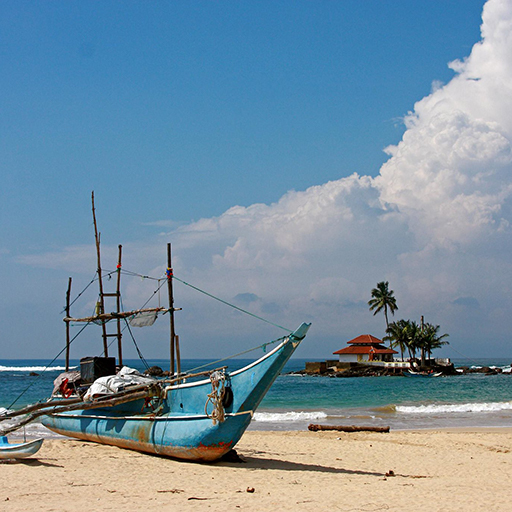 <span> Day 5  </span>Transfer to Hikkaduwa - Afternoon at Beach - Leisure