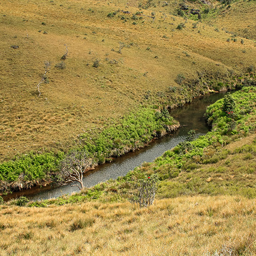 <span> Day 10 </span>Horton Plains - Tissamaharama