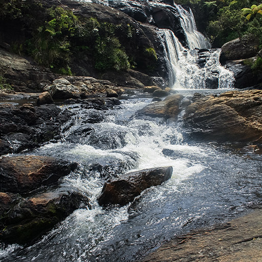 <span>Day 9</span>Horton Plains