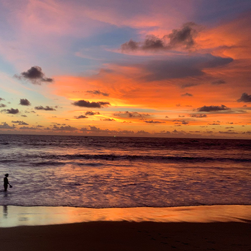 <span> Day 1 </span>Arrival - Negombo