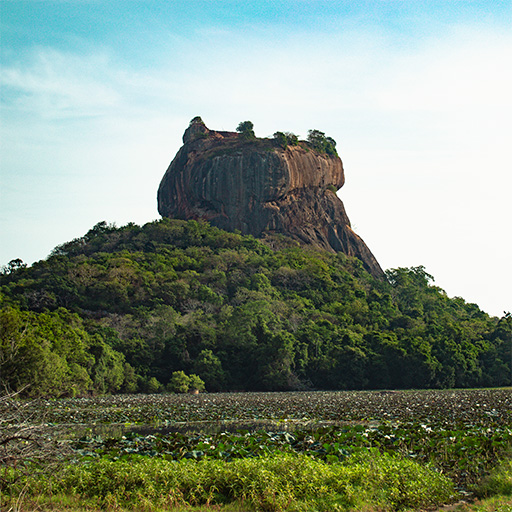 <span> Day 1 </span>Dambulla - Sigiriya