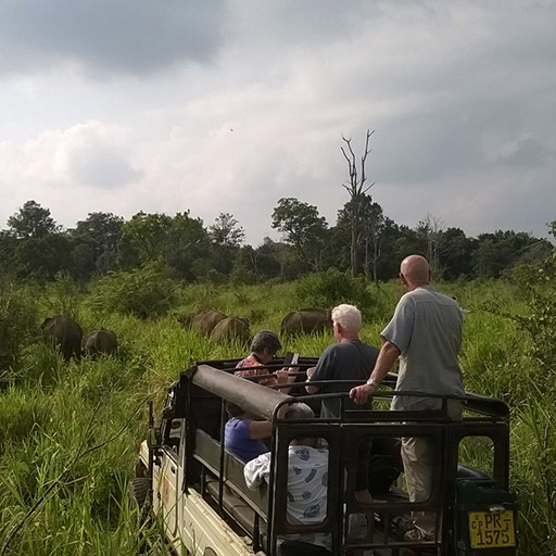 <span> Day 10 </span> Visiting a rural school - Udawalawe National Park