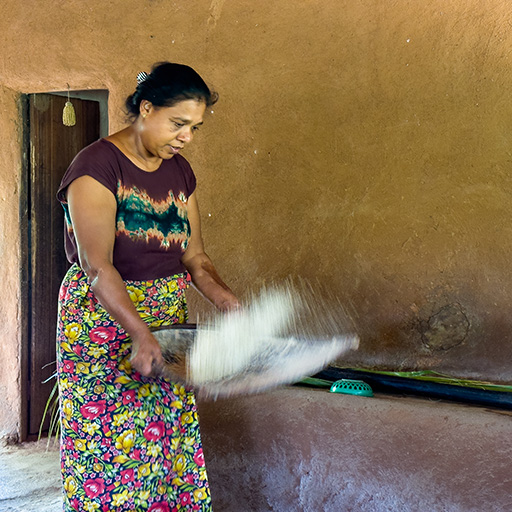 <span> Day 6 </span> Visit rural Village - meet paddy farmers