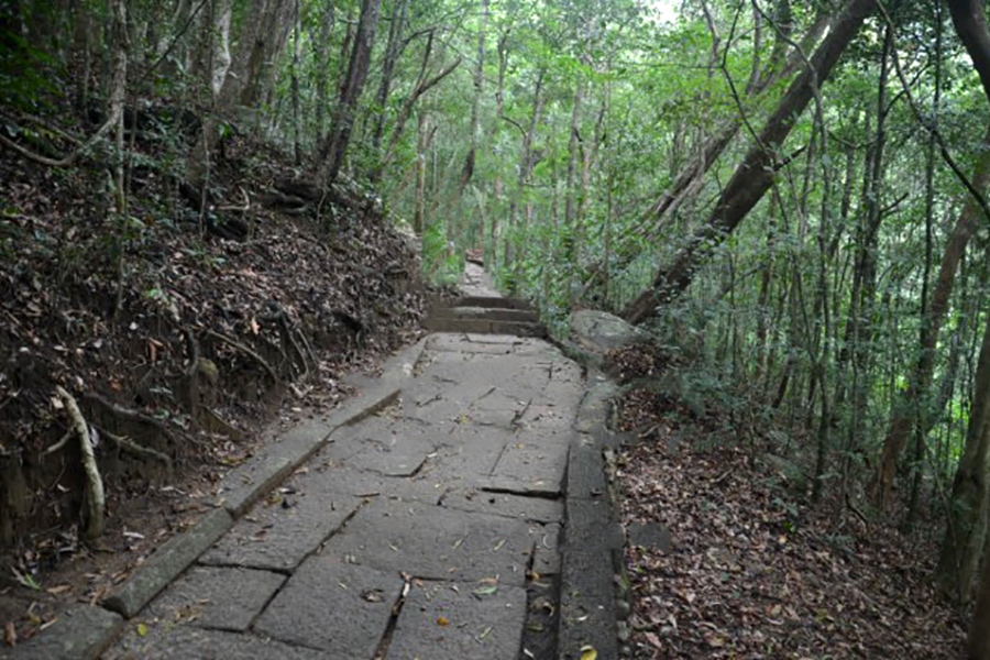 Ritigala Strict Nature Reserve