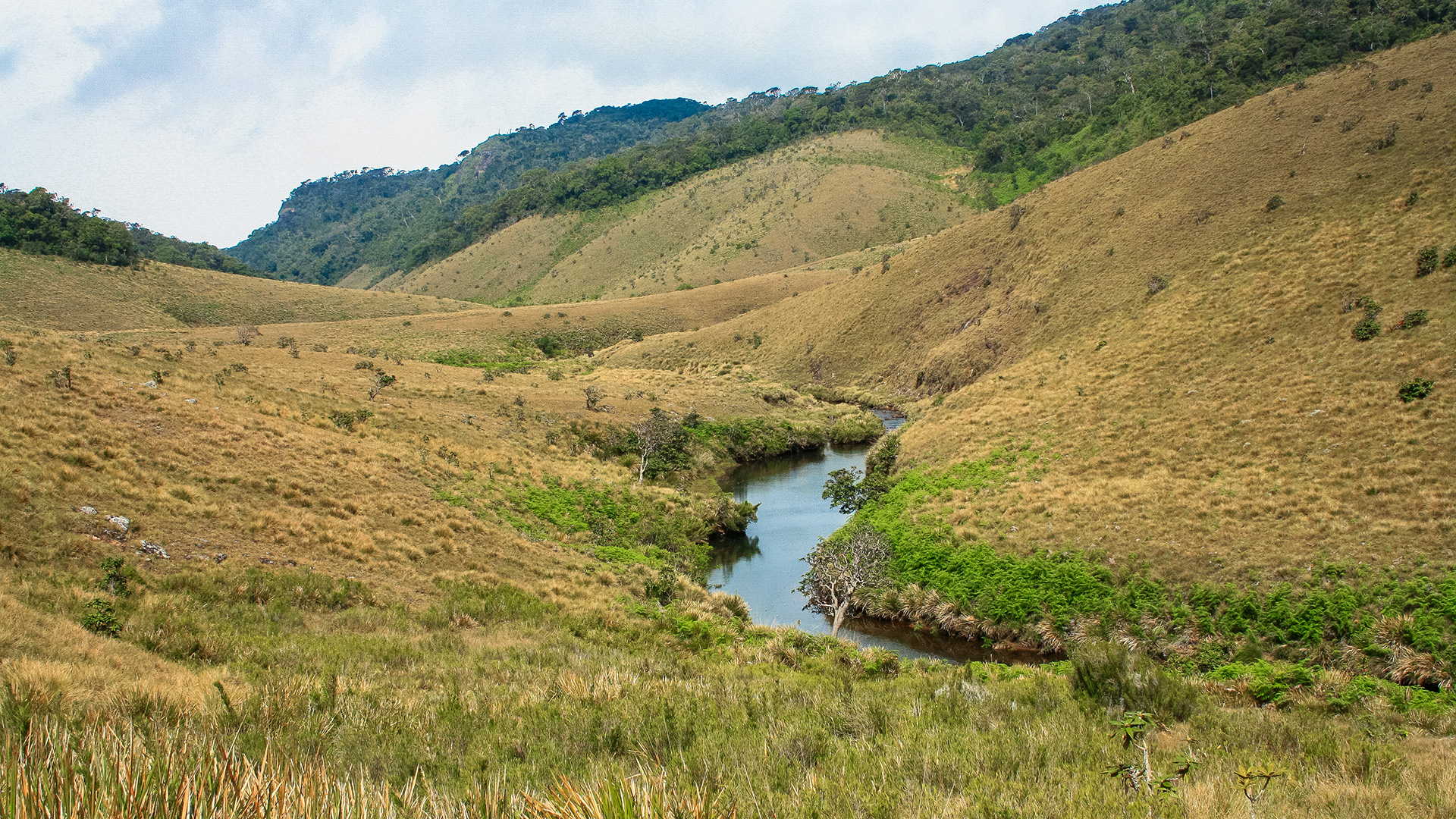 Horton Plains National Park