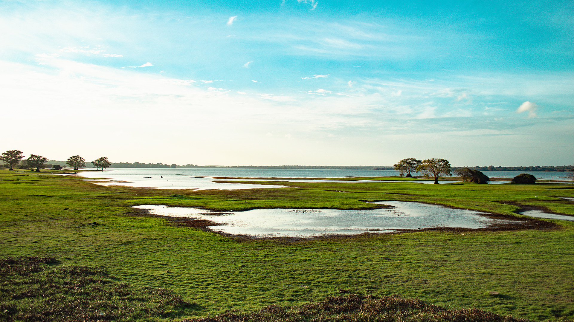 Wilpattu National Park