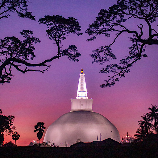 <span> Day 2 </span>Train journey to Anuradhapura – Night Cycling