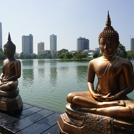 <span> Day 1 </span>Arrival in Colombo