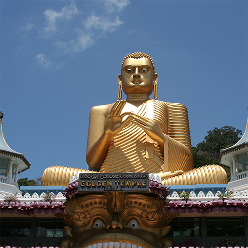 <span> Day 4 </span>Exploring Rural Life – Authentic Cuisine – Dambulla Temple