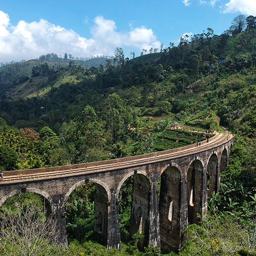 <span>Day 8</span> Little Adma’s Peak - Nine Arch Bridge - Demodara Railway Loop - Ravana Falls