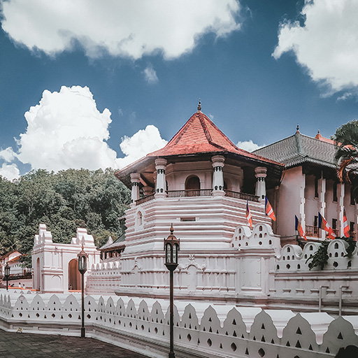 <span> Day 6</span>Kandy, the last Kingdom of Sri Lanka – Tea Plantations – Nuwara Eliya