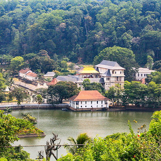 <span> Day 6 </span>Sunrise at Pidurangala – local artisanship – City of Kandy