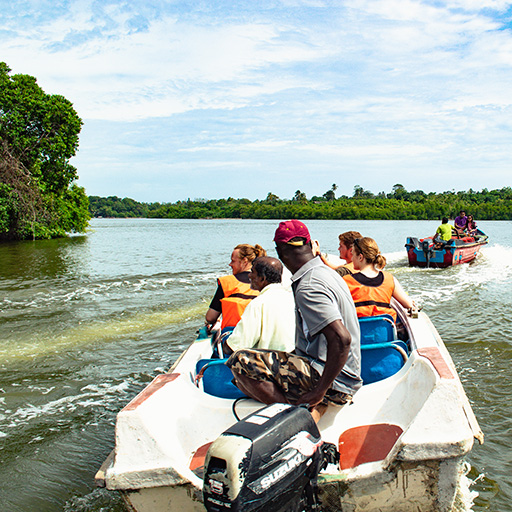 <span>Day 13</span>Madu Ganga Boat Trip - Kosgoda Turtle Conservation