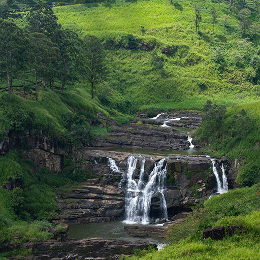 <span> Day 8 </span>Tea Plantations – Nuwara Eliya – Waterfalls