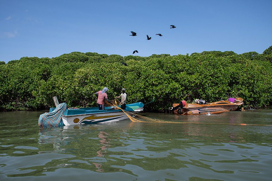 Muthurajawela Lagoon – Half Day Boat Trip