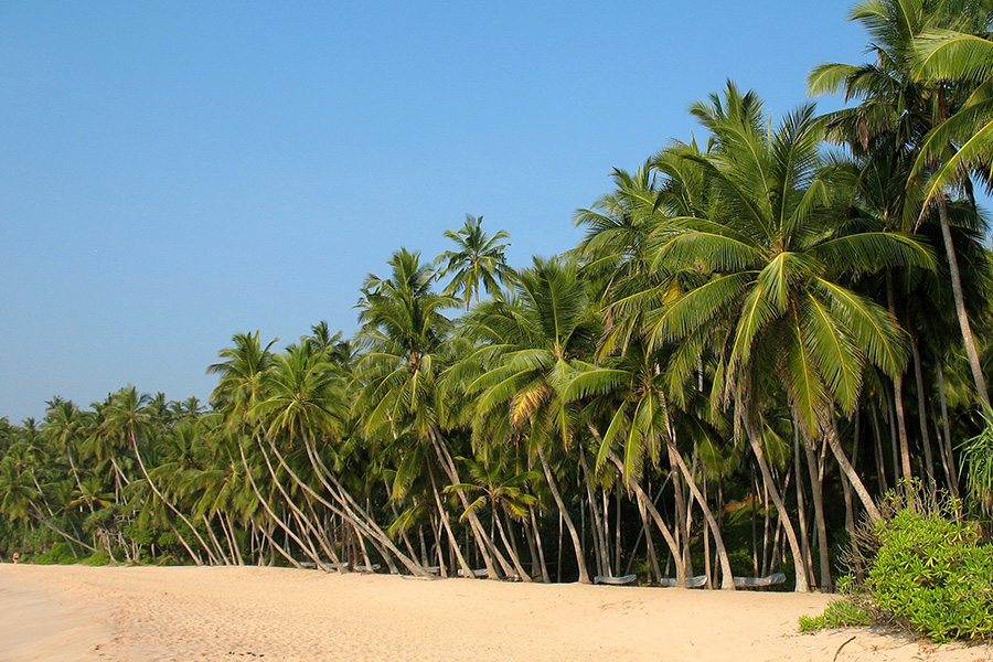 Why Sri Lanka Should Be at the Top of Your Travel Bucket List